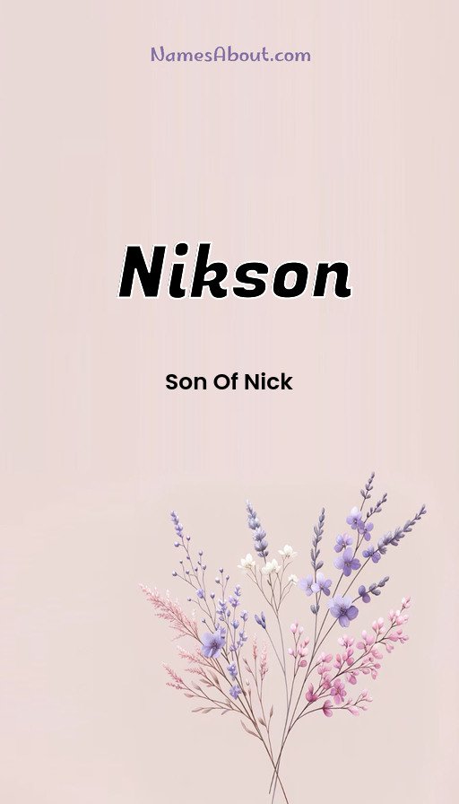 Meaning of Nikson