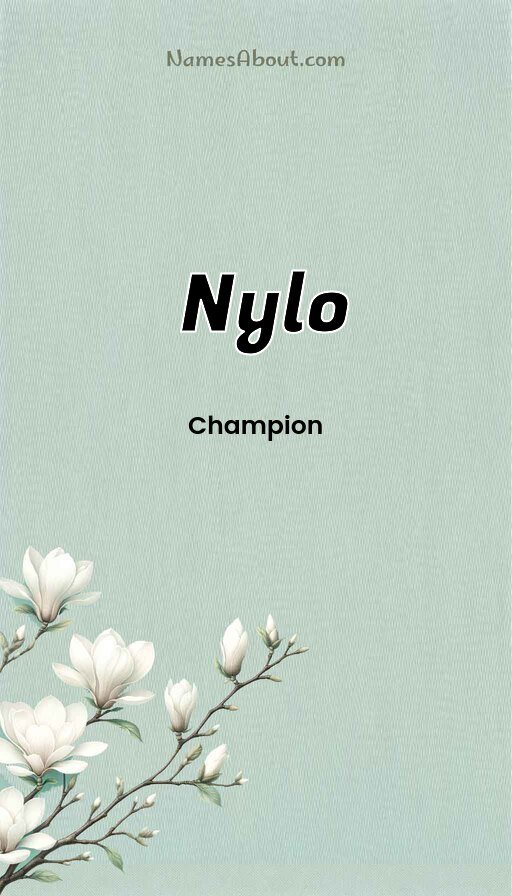 Meaning of Nylo