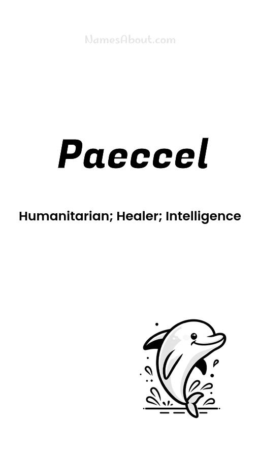 Paeccel name and meaning