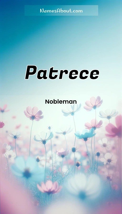 Meaning of Patrece