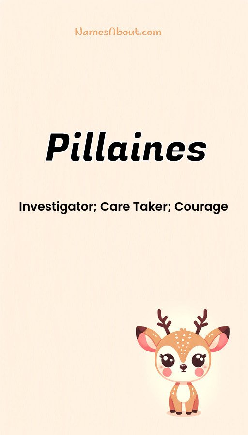 Meaning of Pillaines