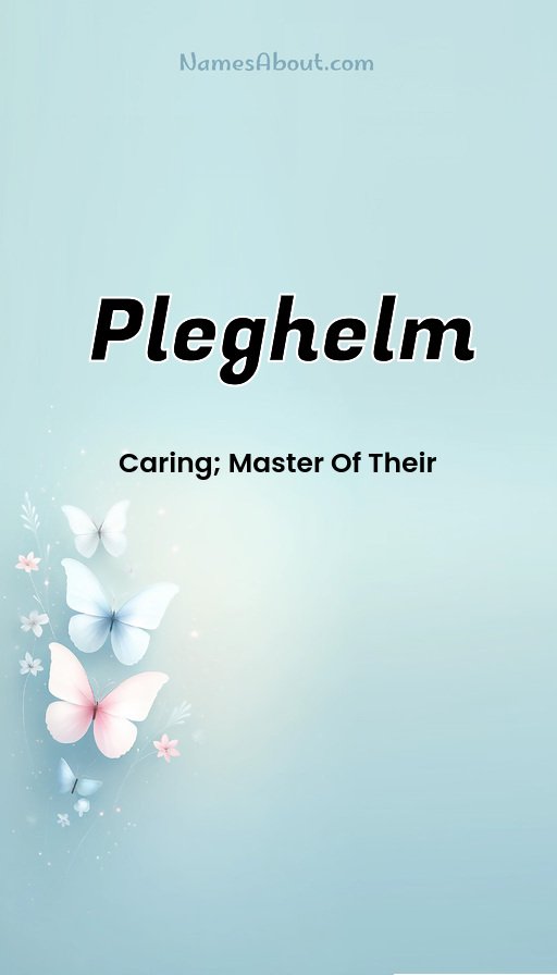 Meaning of Pleghelm