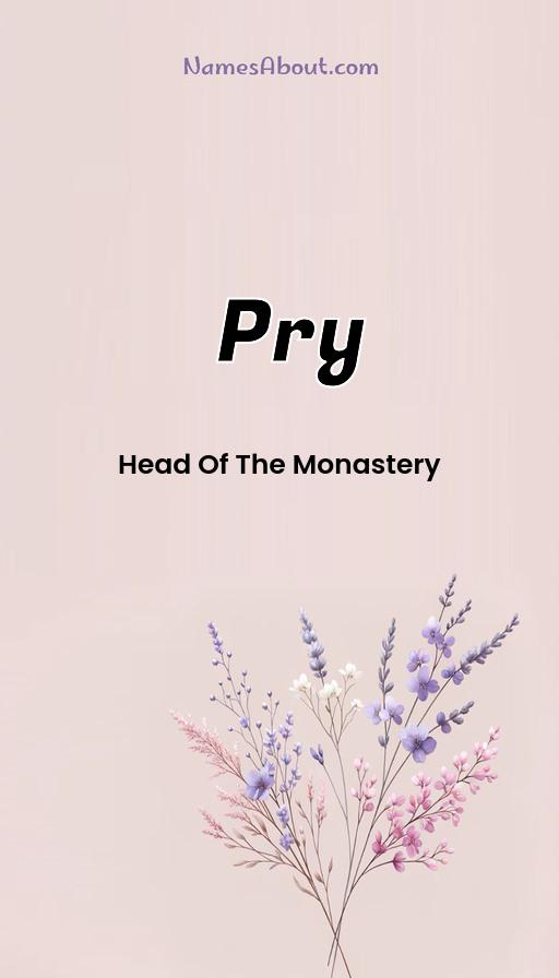 Pry name and meaning