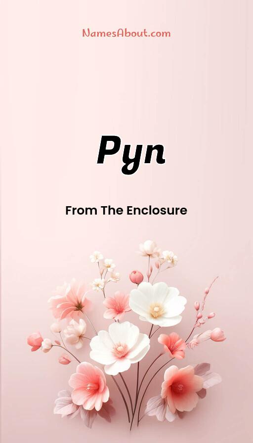 Illustration of Pyn