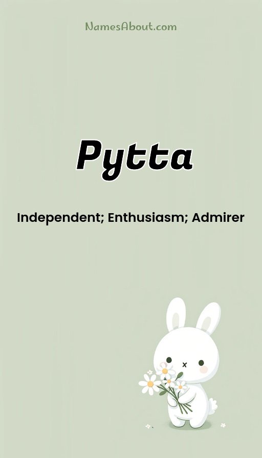 Meaning of Pytta