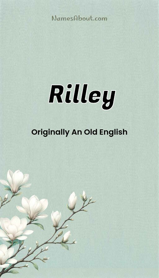 Meaning of Rilley