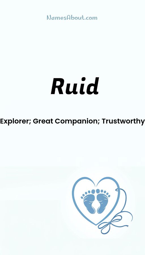Meaning of Ruid