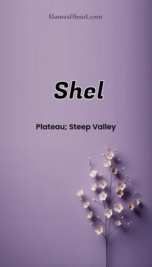 Meaning of Shel