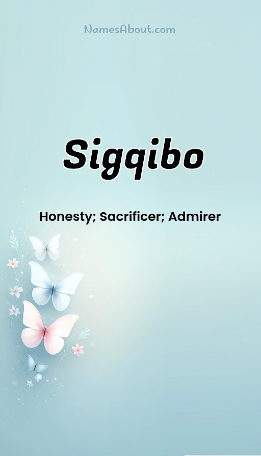Meaning of Sigqibo