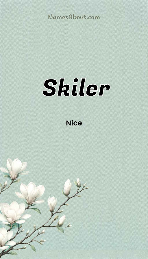 Meaning of Skiler