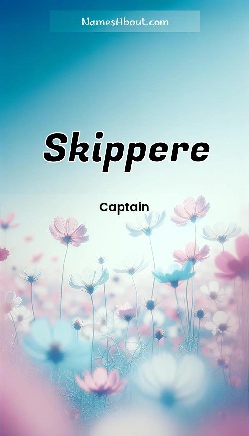 Meaning of Skippere