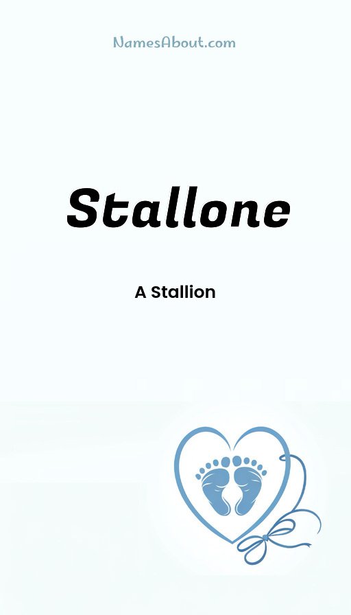 Meaning of Stallone