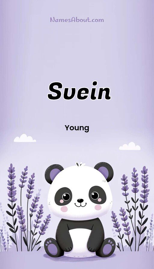 Meaning of Svein