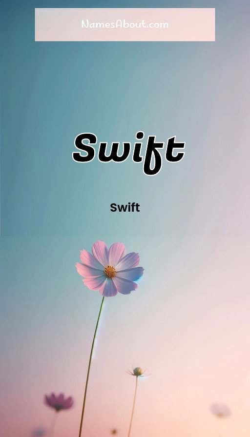 Meaning of Swift