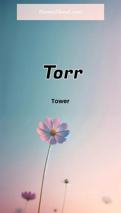 Illustration of Torr