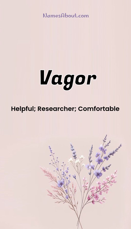 Meaning of Vagor
