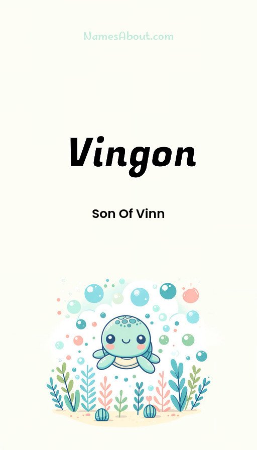 Meaning of Vingon