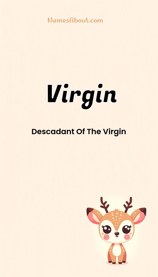 Meaning of Virgin