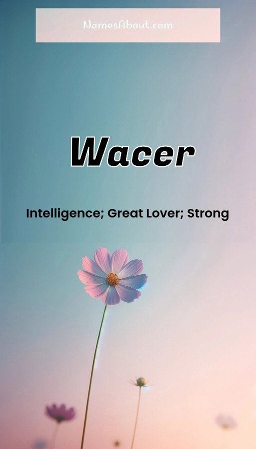 Meaning of Wacer