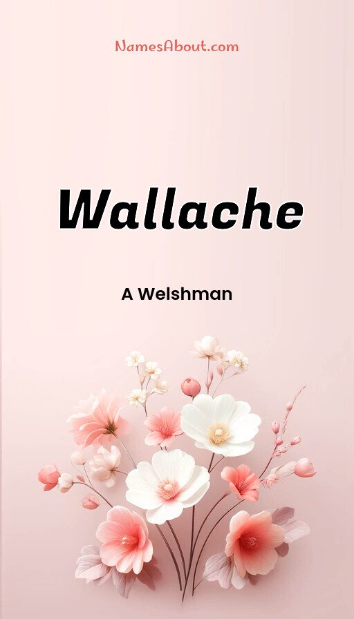 Meaning of Wallache
