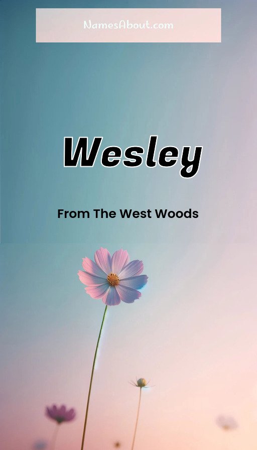 Meaning of Wesley