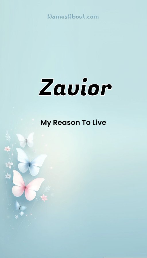 Meaning of Zavior