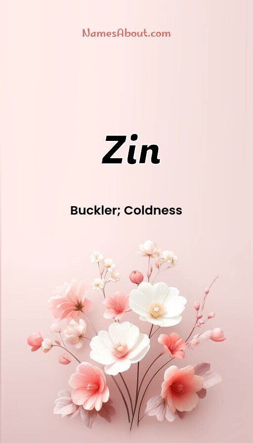 Meaning of Zin