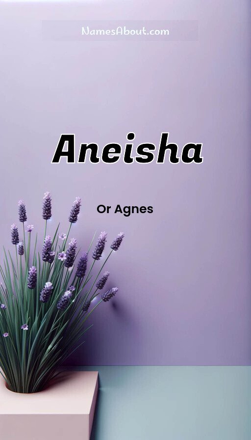 Meaning of Aneisha