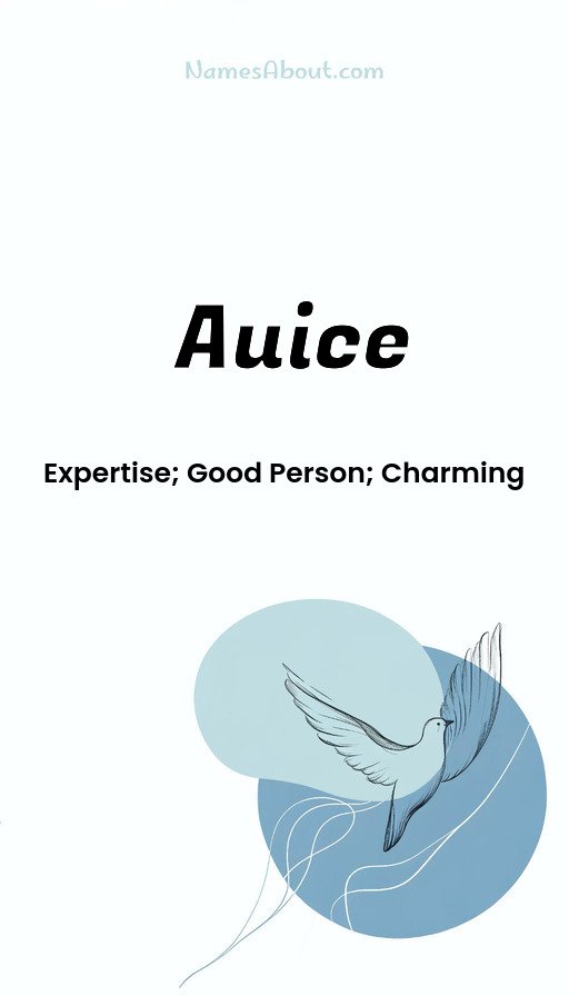 Meaning of Auice