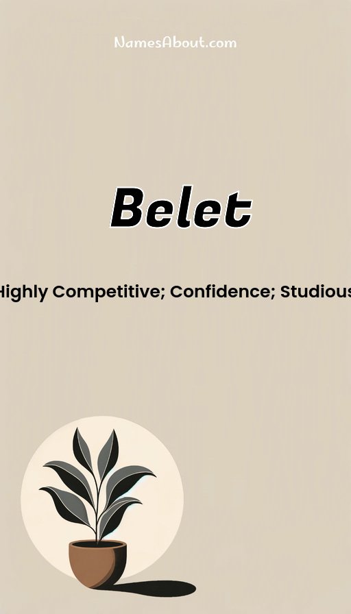 Meaning of Belet