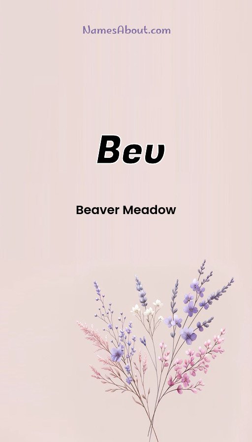 Meaning of Bev