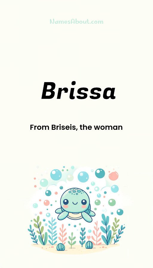 Meaning of Brissa