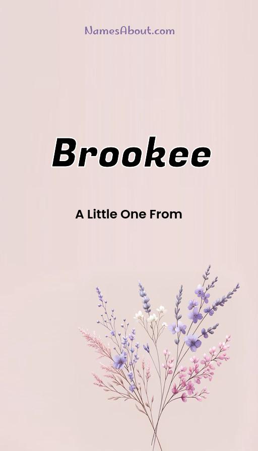 Brookee name and meaning