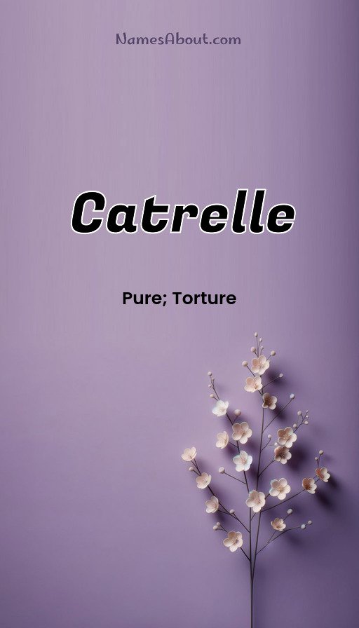Meaning of Catrelle