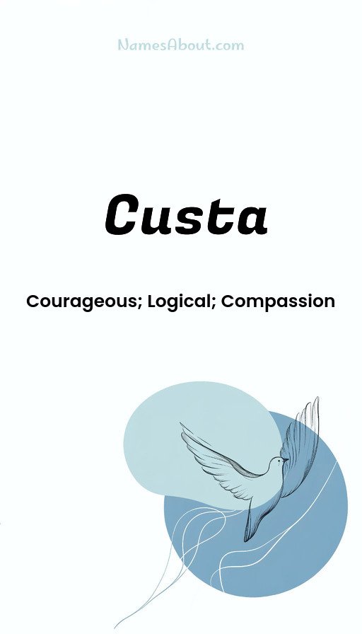 Meaning of Custa