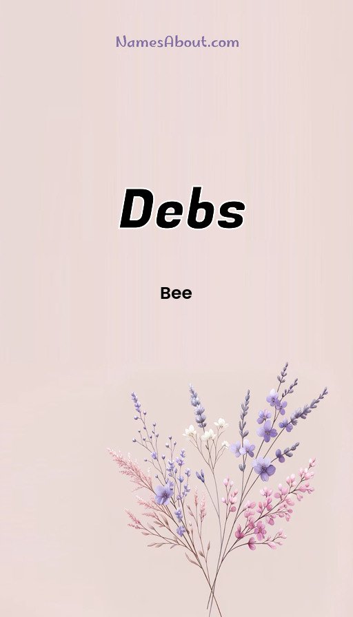 Meaning of Debs