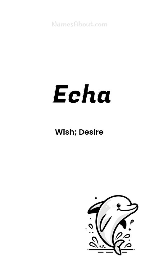 Meaning of Echa