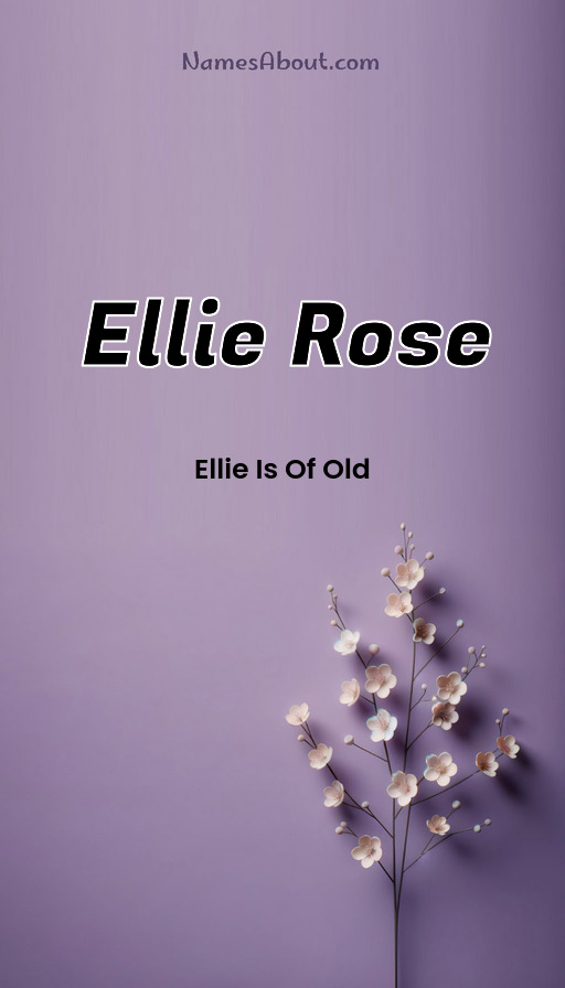 Meaning of Ellie rose