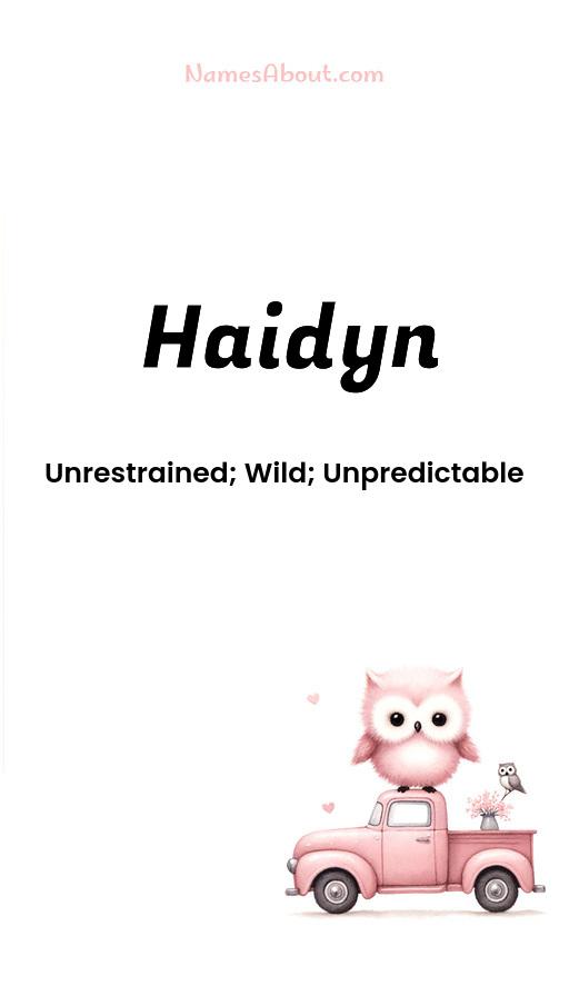 Meaning of Haidyn