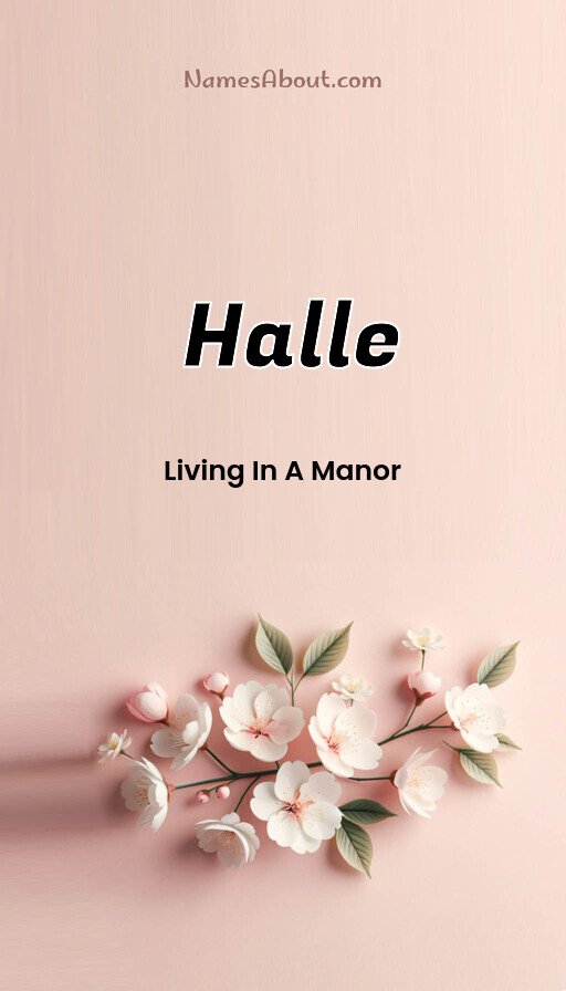 Meaning of Halle