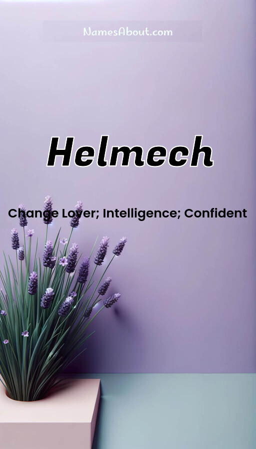 Meaning of Helmech