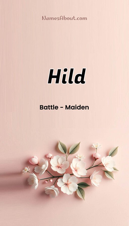 Meaning of Hild