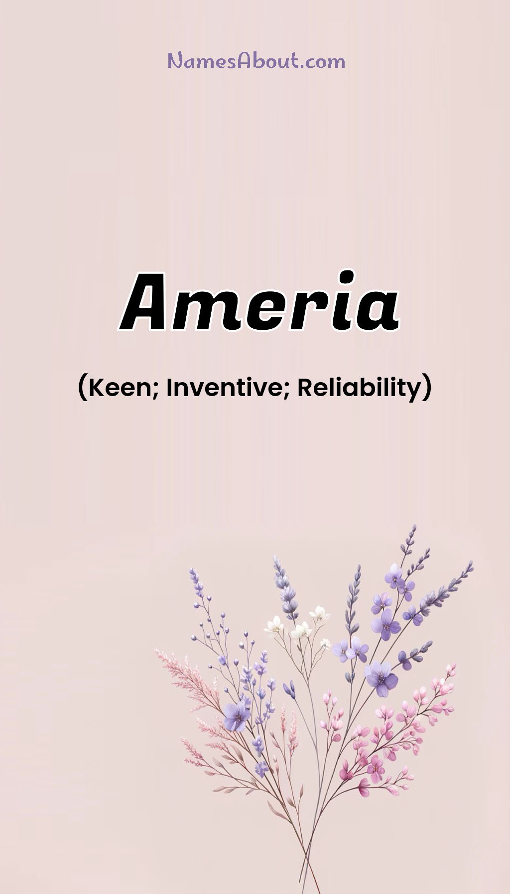 Ameria name and meaning