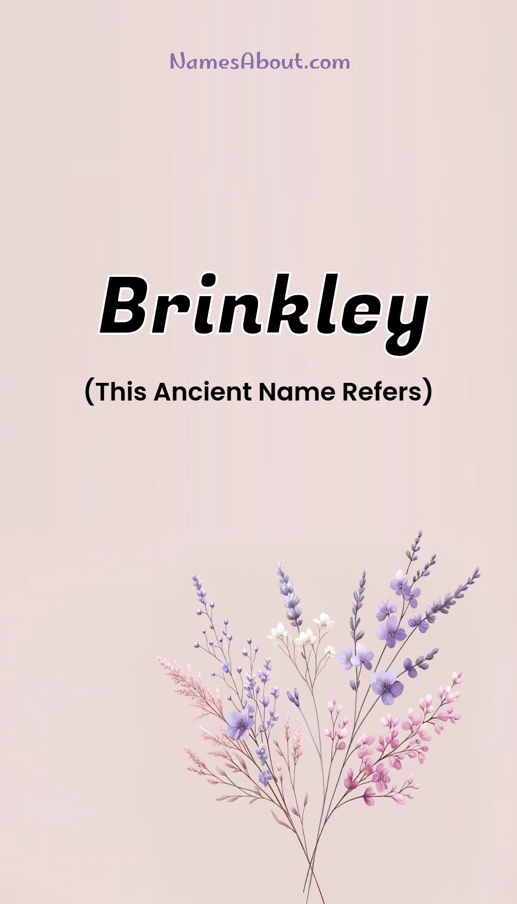 Brinkley name and meaning