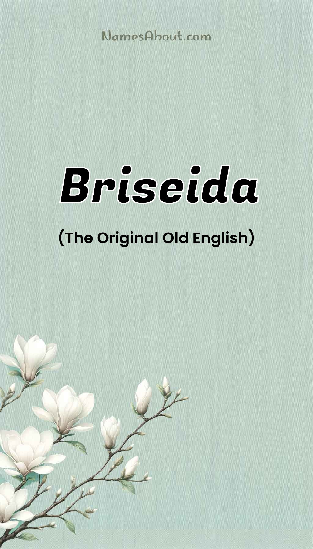 Briseida name and meaning