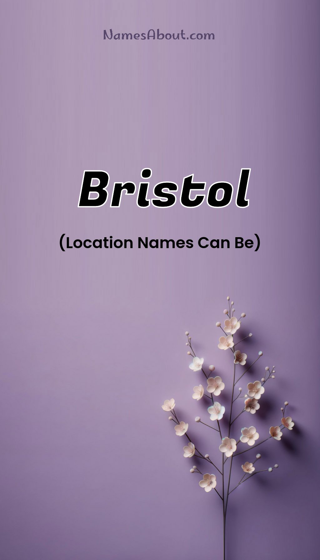 Bristol name and meaning