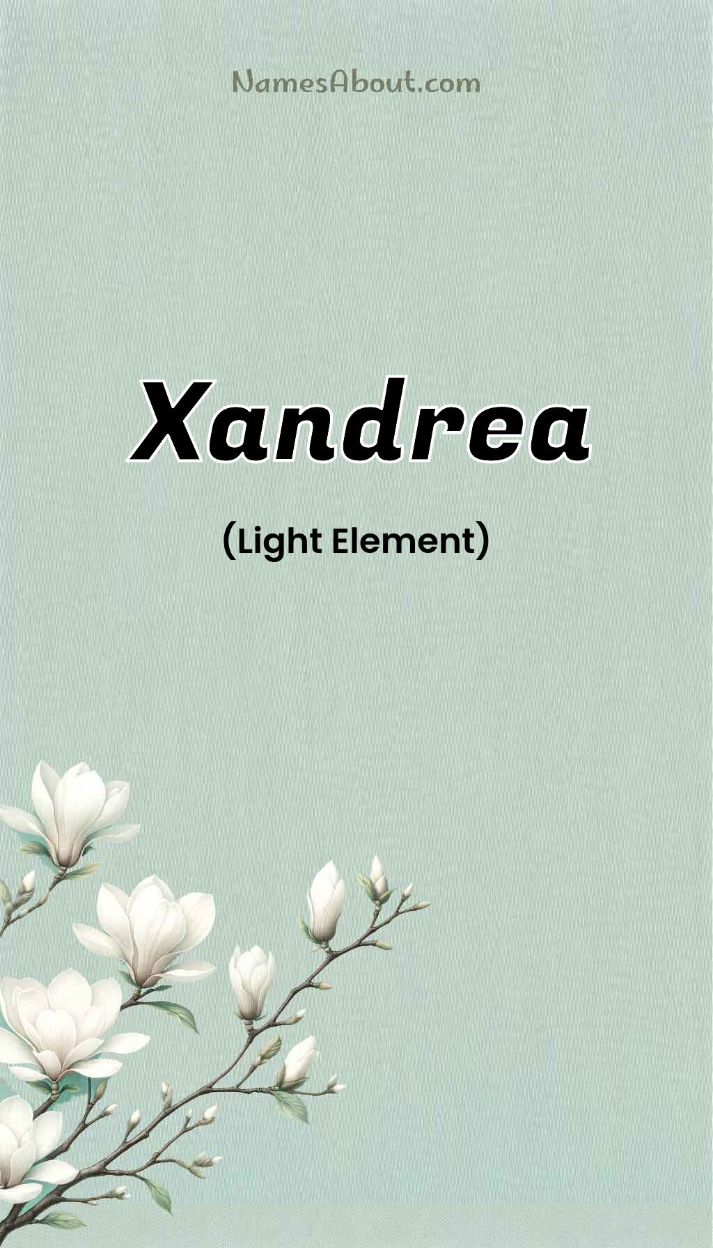 Xandrea name and meaning