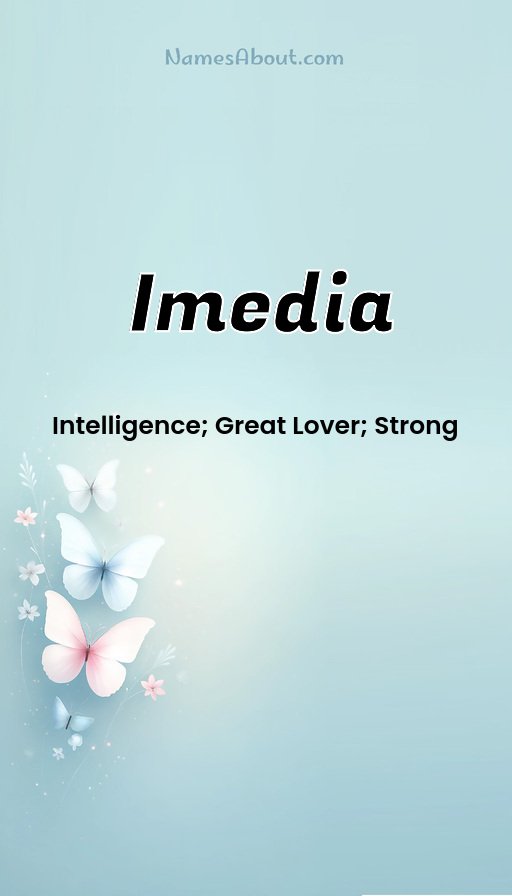 Meaning of Imedia