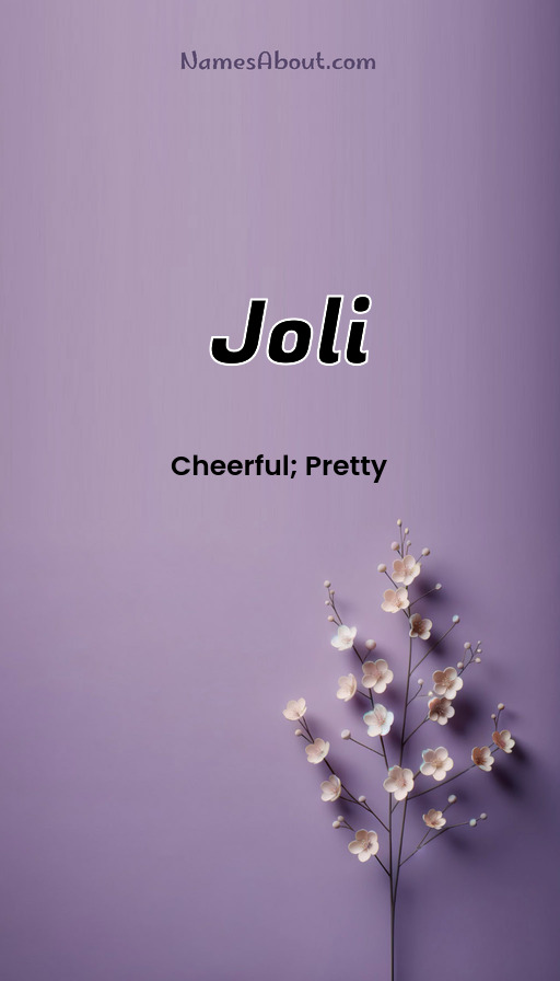 Meaning of Joli