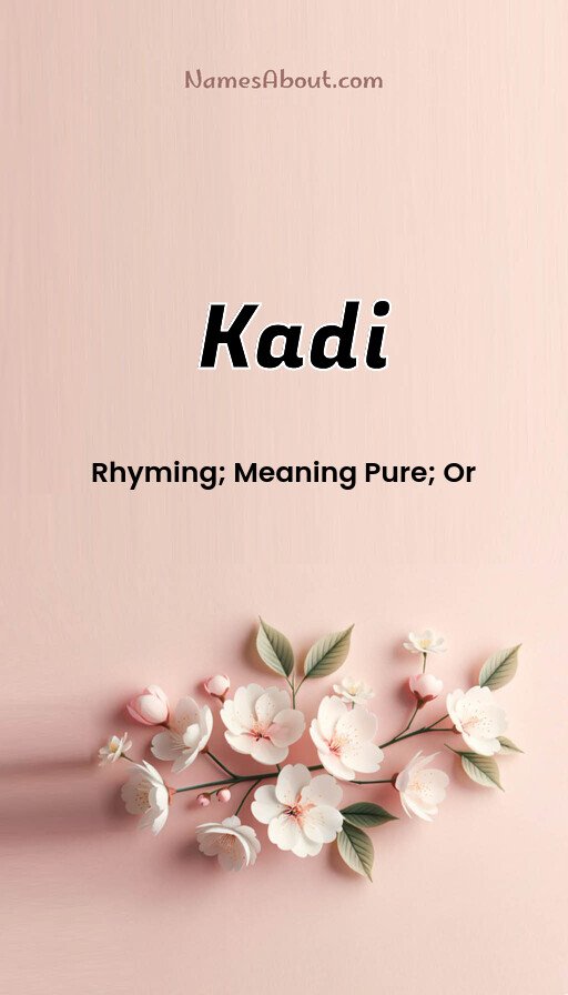 Meaning of Kadi